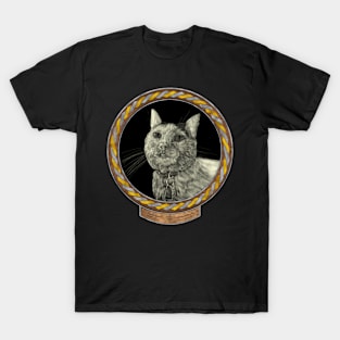 Lucy&#39;s Gaze (frame silver gold celtic rope) T-Shirt